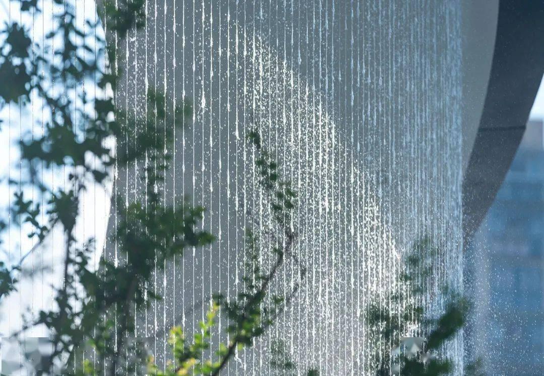 春雨直播app