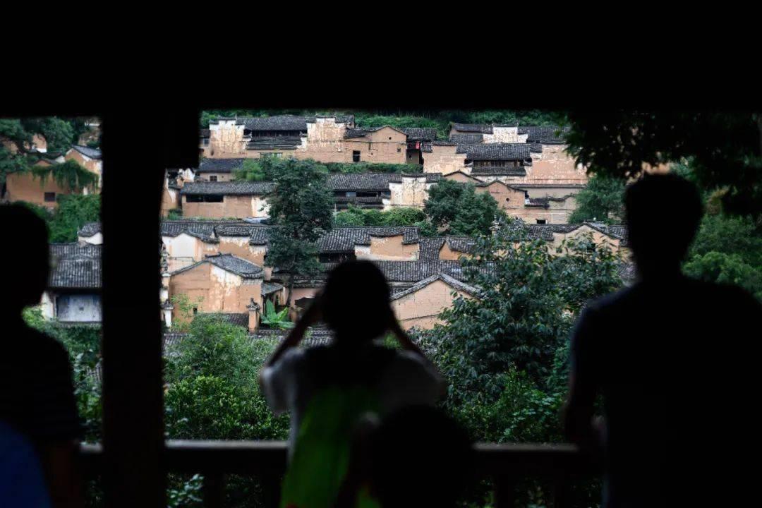 河谷冒险逃生