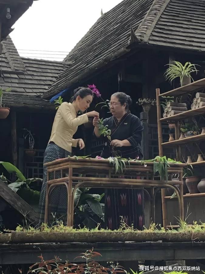 琼中百花岭：秘境中的自然交响