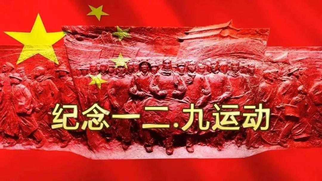 苏菲亚的休闲装