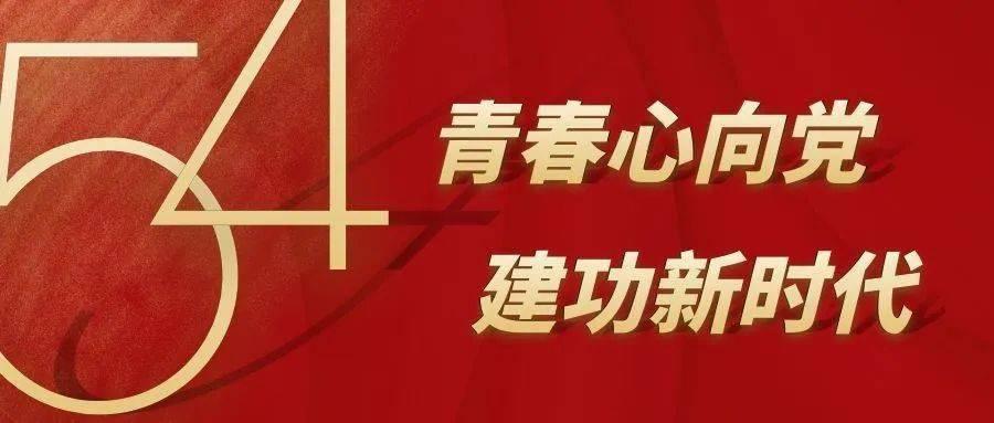精灵的故事
