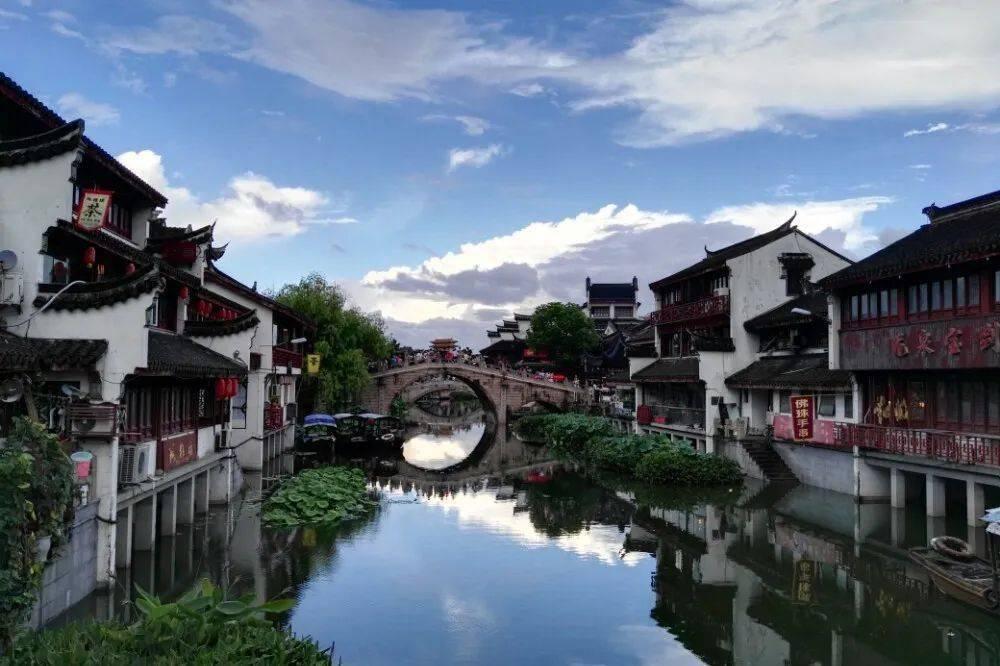 饥饿的松鼠救援